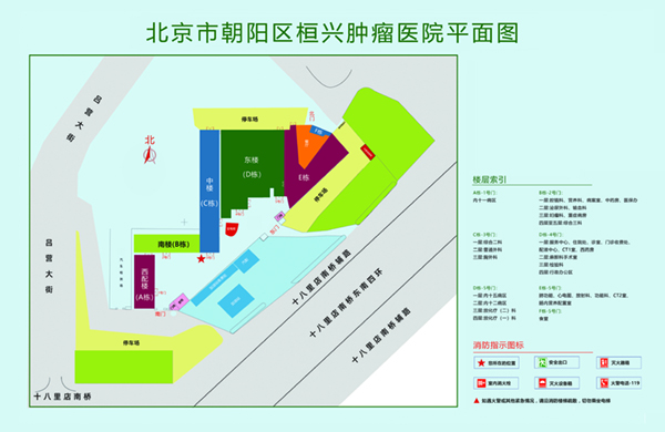 艹逼视频好爽北京市朝阳区桓兴肿瘤医院平面图